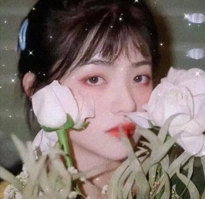 决战燕子门