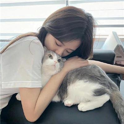 春花秋月奈何天